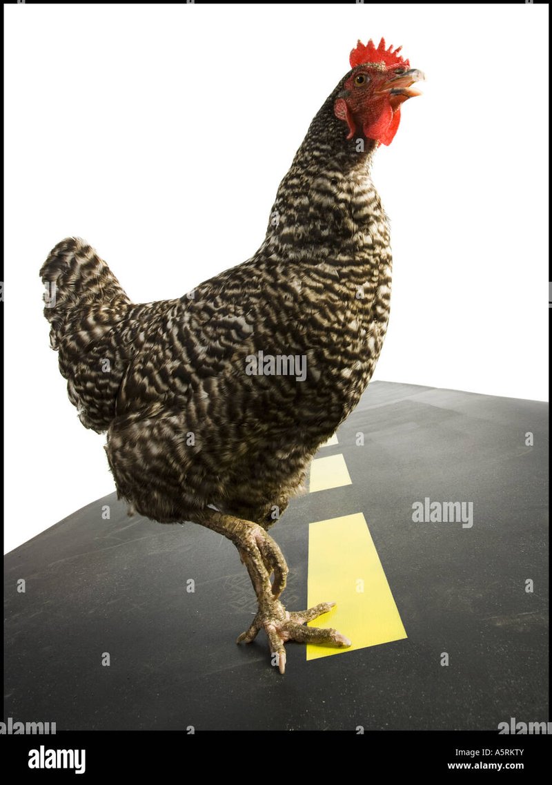 Descubre el secreto detrás del juego más apasionante de Chicken Road España - overview
